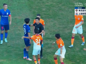 中超-十人申花1-0海牛先赛1分领跑 路易斯闪击