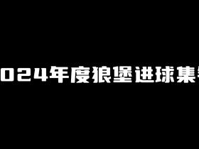 超长集锦：2024年度我狼男足精彩进球！！！！