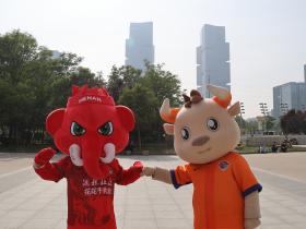犇犇巴布奔现记
