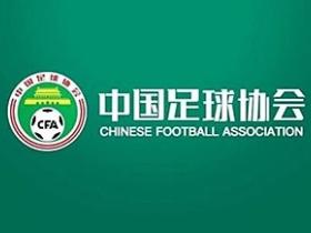 媒体人：足协技术总监候选是比利时人在领跑